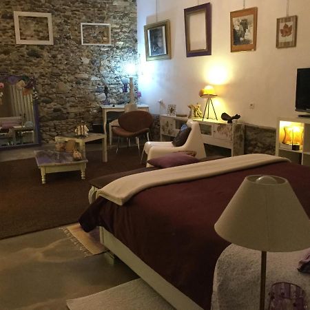 Loft Atypique Bed & Breakfast Villeneuve-de-Riviere Exterior photo