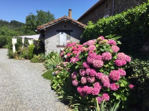 Loft Atypique Bed & Breakfast Villeneuve-de-Riviere Exterior photo