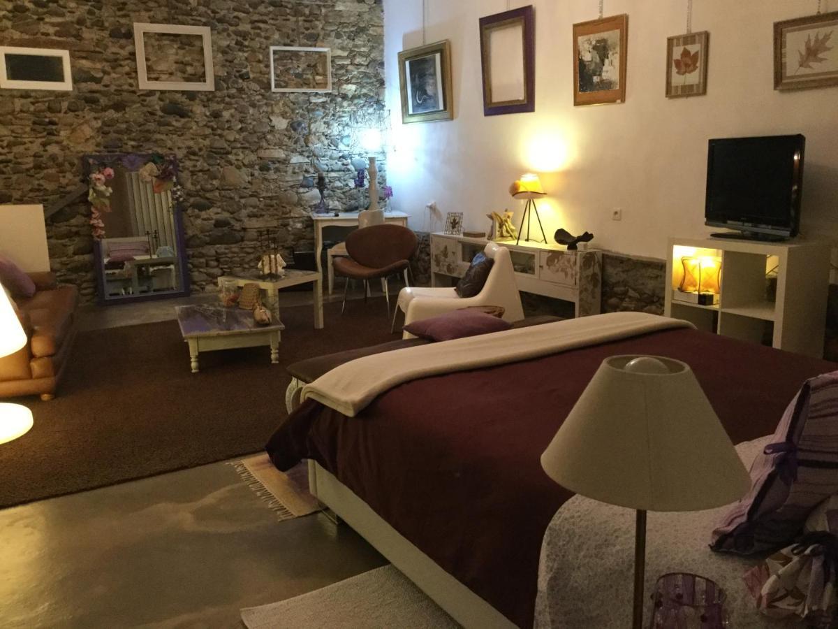 Loft Atypique Bed & Breakfast Villeneuve-de-Riviere Exterior photo